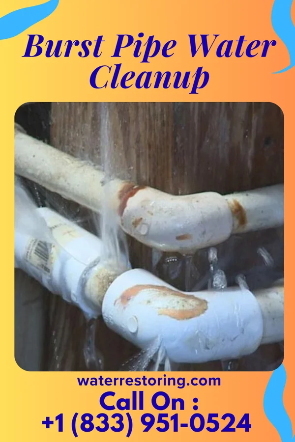Burst Pipe Water Cleanup in New Martinsville, WV