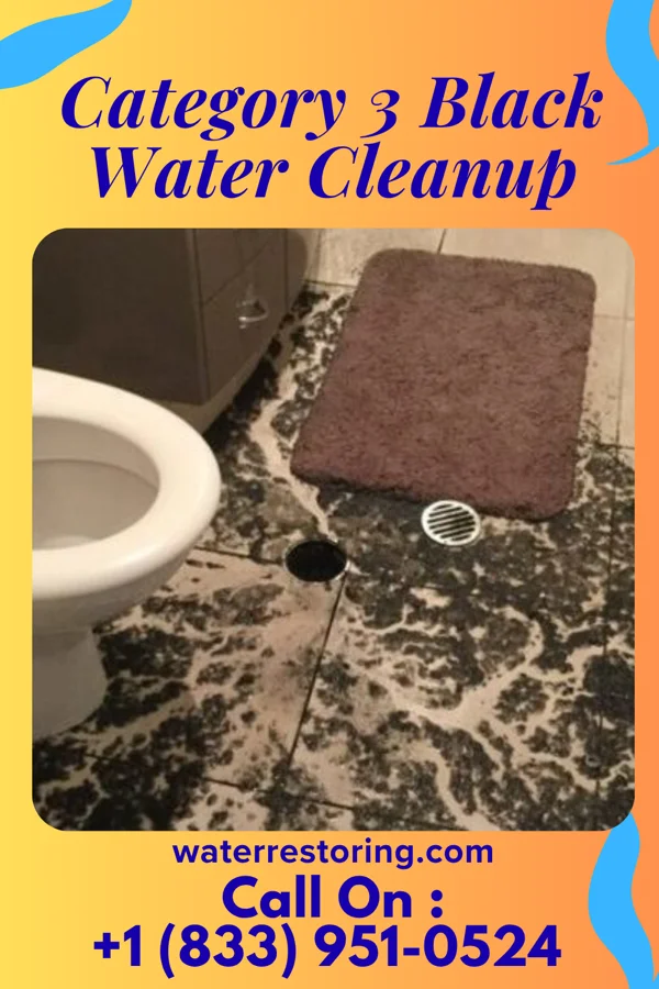 Category 3 Black Water Cleanup in New Martinsville, WV