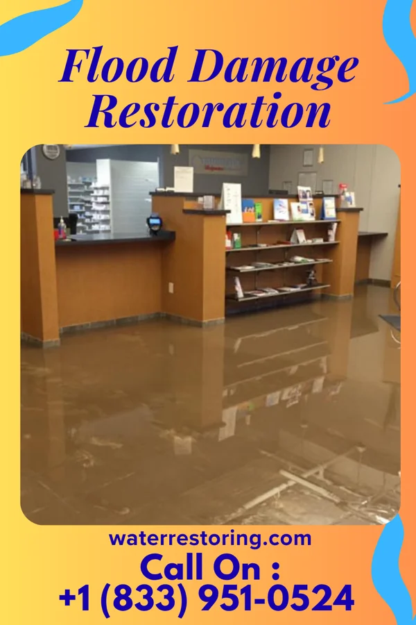 Flood Damage Restoration in New Martinsville, WV