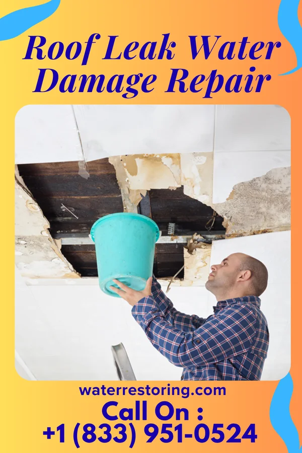 Roof Leak Water Damage Repair in New Martinsville, WV