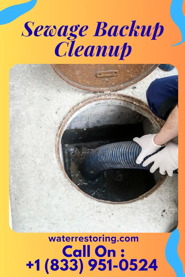 Sewage Backup Cleanup in New Martinsville, WV