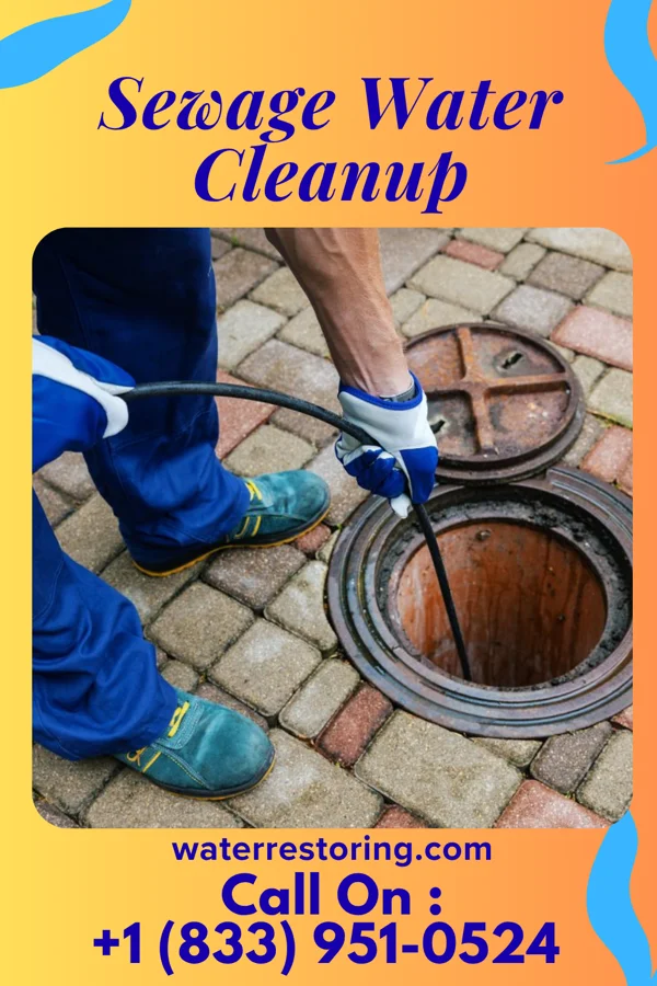 Sewage Water Cleanup in New Martinsville, WV