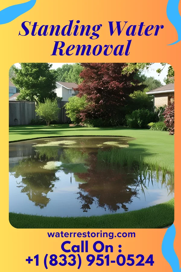 Standing Water Removal in New Martinsville, WV